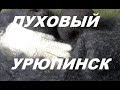 УРЮПИНСК ПОЕЗДКА на ПУХОВЫЙ РЫНОК  Загадка   Урюпинского  пухового  рынка