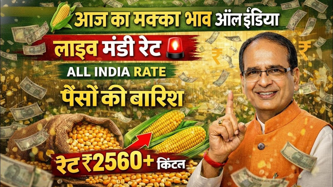 🚜 आज मक्का का भाव क्या है? | All India Makka Mandi Bhav Today