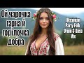 Ой чарочка гарна й горілочка добра Ukrainian Folk Rave Dance Party