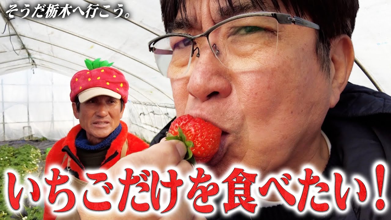 Taka-chan heads to Tochigi, the strawberry kingdom, to eat only