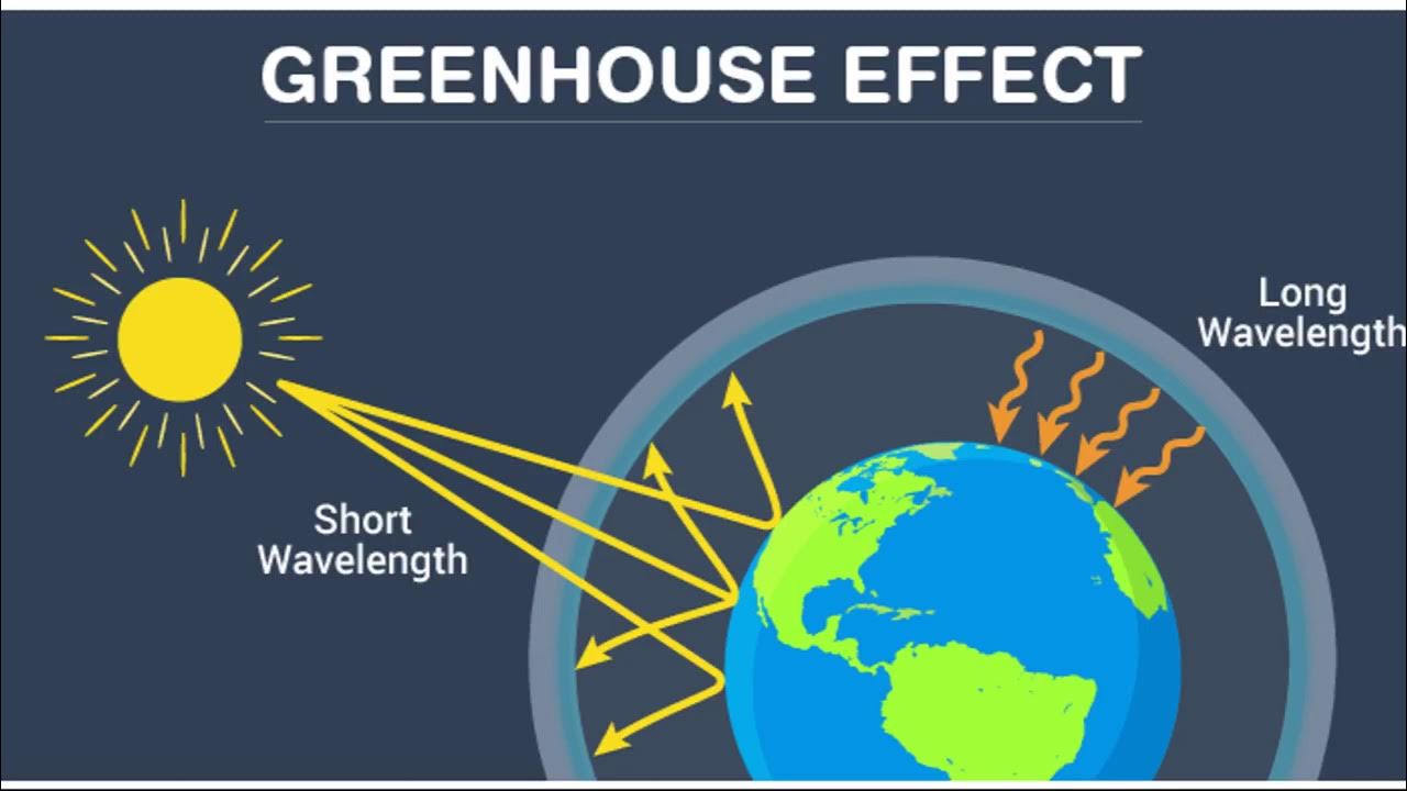 Greenhouse effect is. The greenhouse effect доклад. Парниковый эффект и глобальное потепление. What is greenhouse effect. What is greenhouse effect.