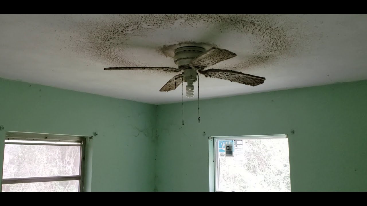 1644 Lakeside Drive, DeLand, Fl 3270 YouTube