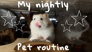 Nightly pet routine 2024