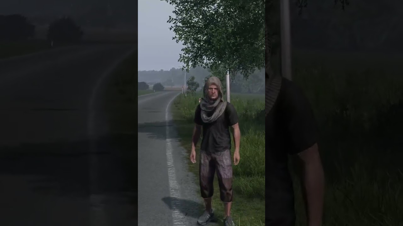 The Perfect Punch in DayZ