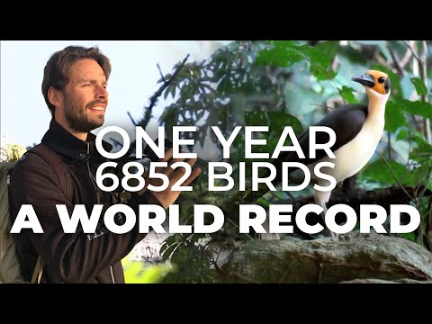 Video: Era un famoso birdwatcher?