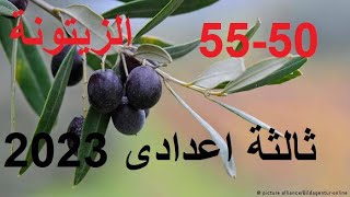 حل كتاب الزيتونة المراجعة النهائية كاملة انجليزي من 50 الى 55 ترم ثاني حل_كتاب_الزيتونة_انجليزي