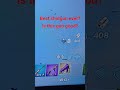 new shotgun?