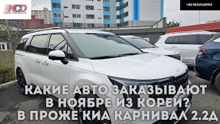 видео: Какие авто из Кореи заказывают? Новый Kia Carnival 2.2d 2024. Bmw x7 40d mSport. Kia Sportage 2022. картинка: Какие авто из Кореи заказывают? Новый Kia Carnival 2.2d 2024. Bmw x7 40d mSport. Kia Sportage 2022.