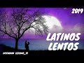 Lentos latinos. (Enganchados)