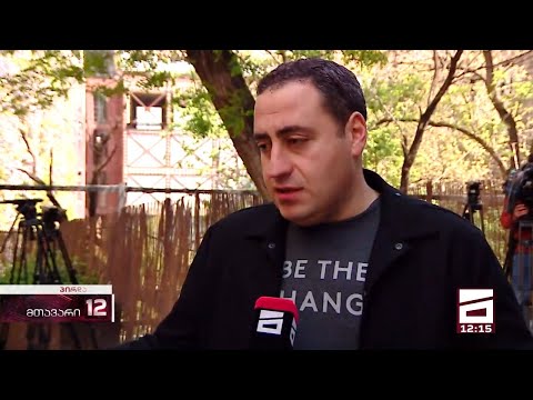 ოპოზიციას \"სტრატეგია აღმაშენებელი\" მასპინძლობს - მიშელის დოკუმენტზე ხელმომწერების კონსულტაციები