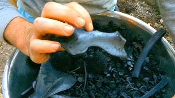 Beautiful Biochar