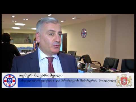 ევროკავშირისა და ევროპის საბჭოს ერთობლივი პროექტის ფარგლებში მმართველი საბჭოს შეხვედრა გაიმართა