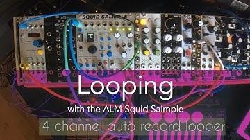 ALM Squid Salmple –  4 Channel auto record looper