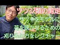 【ツツジ類(サツキ)の剪定①】花後すぐの刈り込みで、来年の花付きが向上↗️👍