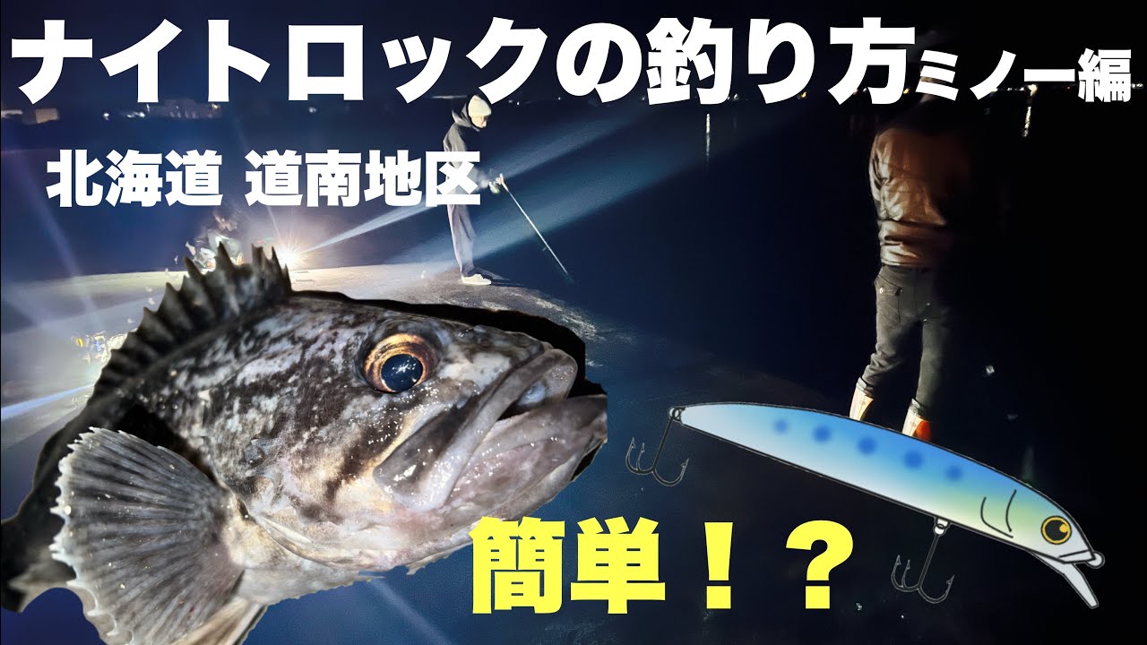 ミノー ナイトロックフィッシュの釣り方 夜釣り Youtube