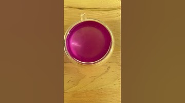 Did you know about these kitchen science hacks? #shorts