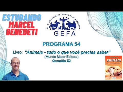Assista: Estudando Marcel Benedeti - Programa 54 (08/07/2025)