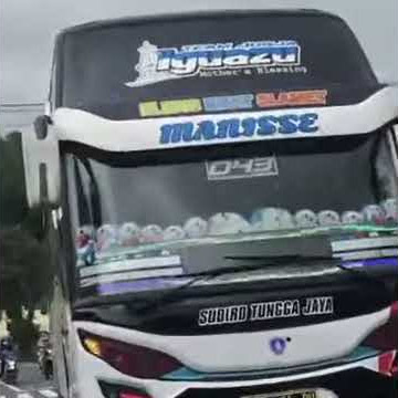 STORY WA BUS STJ IGUAZU | SUDIRO TUNGGA JAYA IGUAZU | FREE DOWNLOAD (DI DESKRIPSI VIDEO)