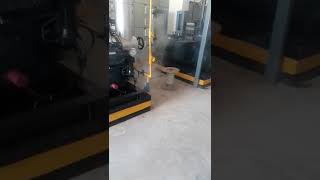 Ammonia liquid compressor