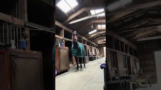 Can Yall Babysit Z For A Second