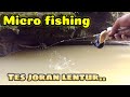 Micro fishing||Mancing wader beunteur pake joran lentur