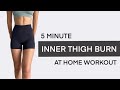 INNER THIGH WORKOUT | Beeps Only | 5 Minute At Home Workout | With Pillow