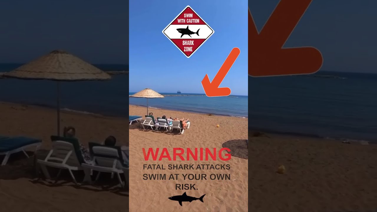 Beachgoers Watch In Silence As Shark Attacks Just Yards Away 