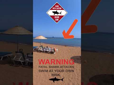 Beachgoers Watch In Silence As Shark Attacks Just Yards Away