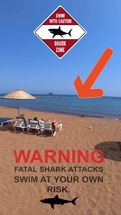 Beachgoers Watch in Silence as Shark Attacks just Yards Away 😳🌊