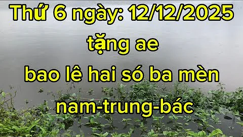 SOI CẦU XSMN 12/12 - SOI CẦU MIỀN NAM - XSMN - SOI CẦU MN - SỐ CHUẨN 102 - XỔ SỐ MIỀN NAM