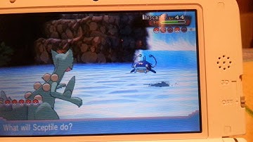 Pokemon Omega Ruby: Wallace Rain Badge/HM Waterfall