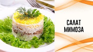 Салат Салат