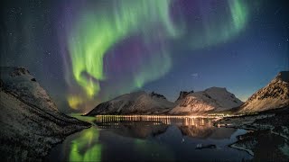 20 minutes of Beautiful Relaxing Music with Harp and Piano. Sleep Music, Study Music, Stress Relief.