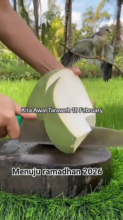 siapa yang sudah kangen ramadhan 2026?☺️ #ramadhan2026 #idulftri #ngabuburit #tarawih #takbiran #fyp