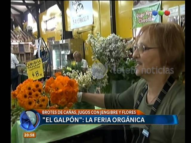 Recorremos la feria americana más grande de Argentina 