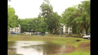 Retention Pond / Mini Cloud Timelapse - 1080p