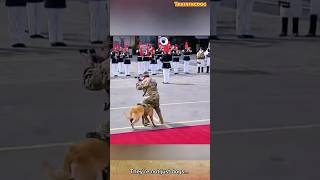 Famous K9 smart training #dog #dogtraining #k9 #belgianmalinois #puppy #pets Wealth