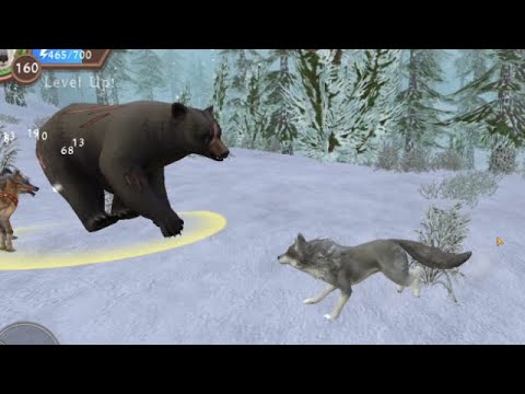 Wildcraft animal sim online - play as wolf!! - YouTube