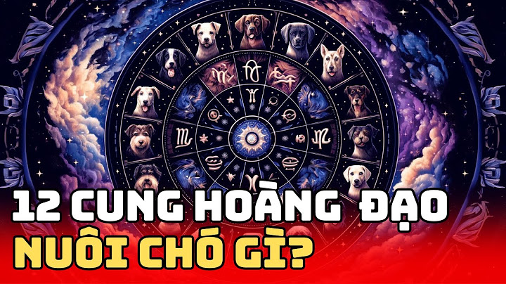 Cung bạch dương nam hợp với cung nào năm 2024