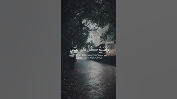 #القرآن #القرآن_الكريم #المصحف #تلاوات #السعودية #اليمن #فارس_عباد #مكة #تلاوة_خاشعة #ماهر_المعيقلي