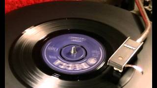 Video thumbnail of "The Animals - Outcast - 1966 45rpm"