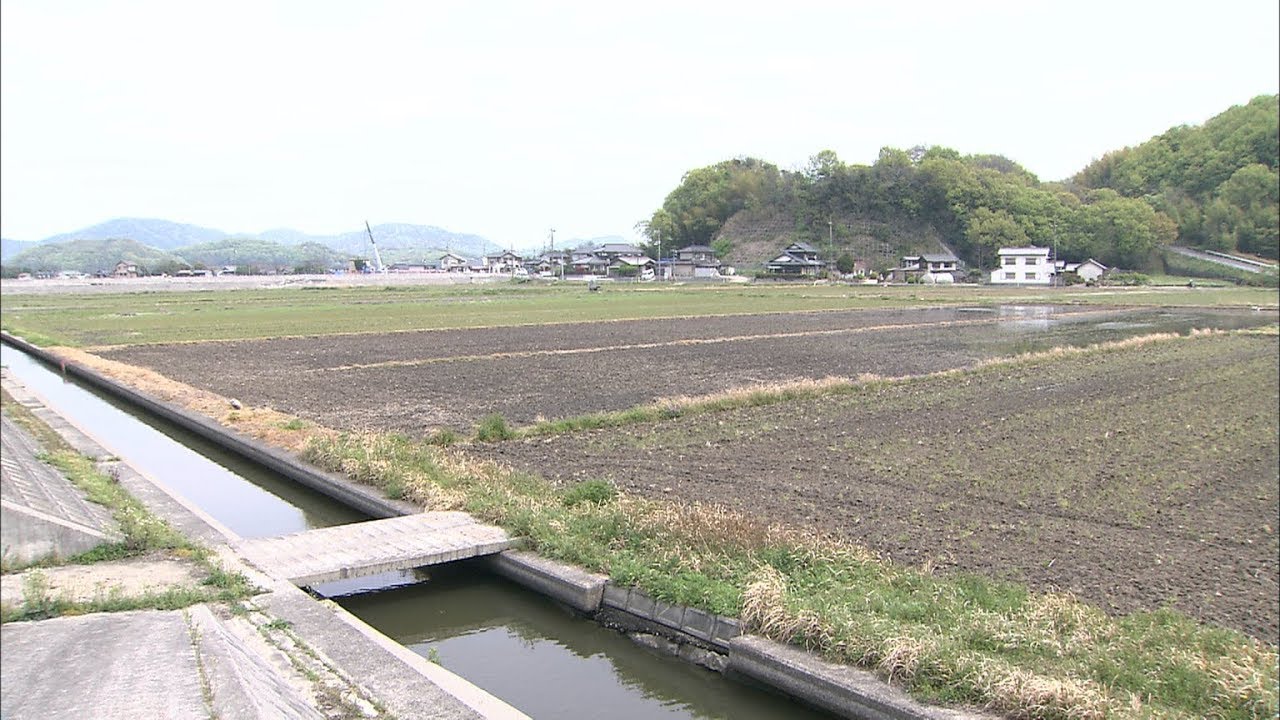 何者かに水門開けられ 田んぼに海水流れ込む 約16ヘクタールの農地に浸水被害 岡山市 Youtube 何者かに水門開けられ 田んぼに海水流れ込む 約16ヘクタールの農地に浸水被害 岡山市 Youtube