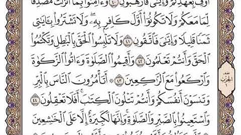سورة البقرة الشيخ ياسر الدوسري صفحة ٧