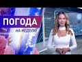 Погода на неделю 11-17 июля 2022. Прогноз погоды. Беларусь | Метеогид