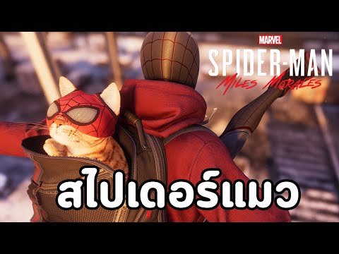 กำเนิดสไปเดอร์แมว : Marvel's Spider-Man: Miles Morales