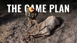 THE GAME PLAN  A Nevada Late Season Elk Hunt
