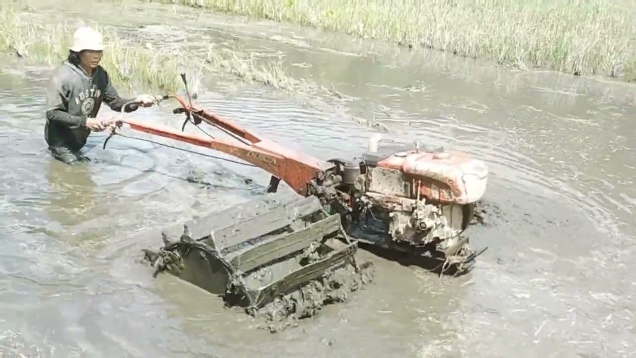 Masuk sawah dalam lagi...