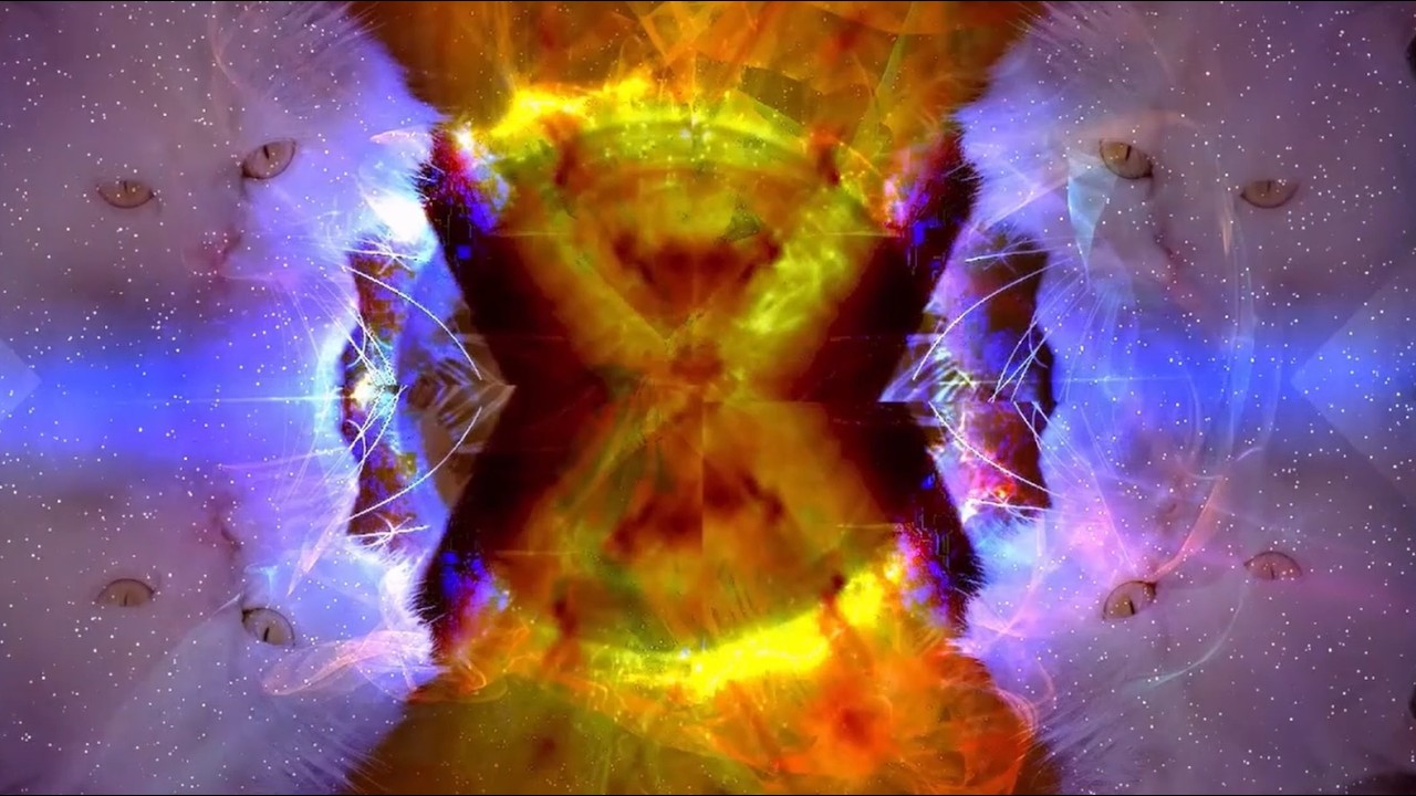 Cosmic Aurora Cat Trip • 4 Hours Psychedelic Portal • Intense Visual Meditation