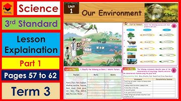 3rd Std- Science- Lesson 1- Our Environment- Term 3- Part 1- Pages 57 to 62- Lesson Explaination.