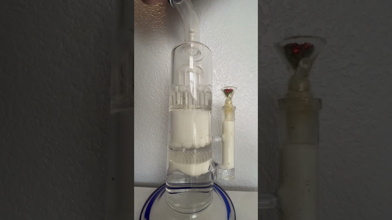 PRIMAL RIPS ONLY!      GMO SHERB-CRASHER NATURES CHEMESTY